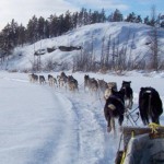 Northern Star Kennel Sled Dog Adventures_image