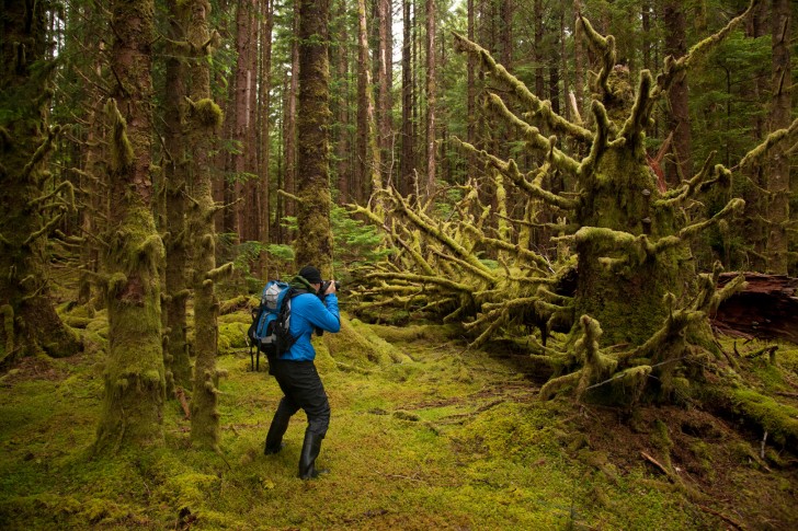 tsu_haida_gwaii_hires_-8440-728x485